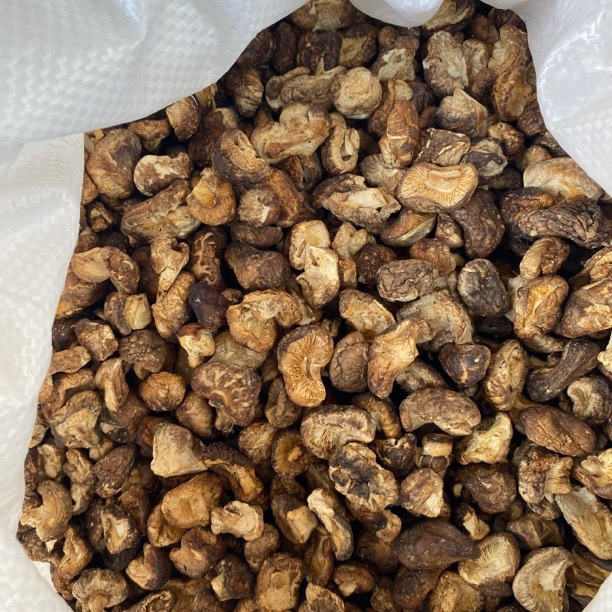 【小香菇】净含量一盘（250g）