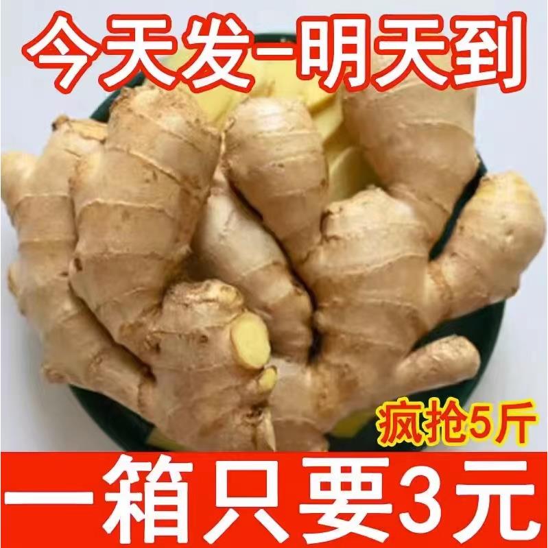 云南正宗小黄姜生姜新鲜蔬菜鲜姜嫩姜包邮现挖现发整箱非老姜