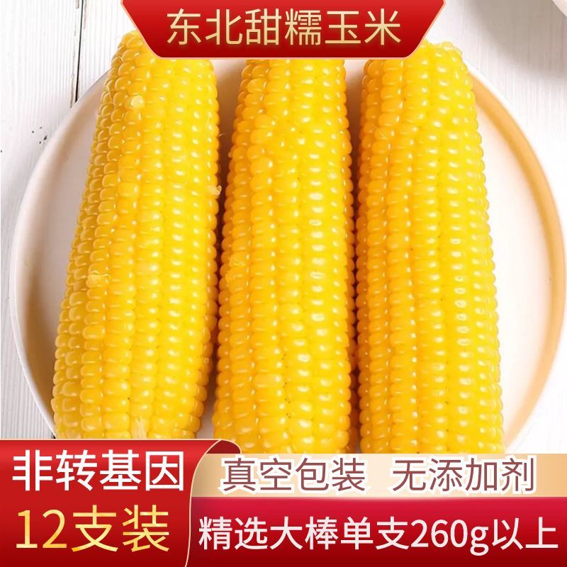 【东北黄糯】黑龙江黄糯玉米棒东北粘玉米非转基因真空包装粘包米