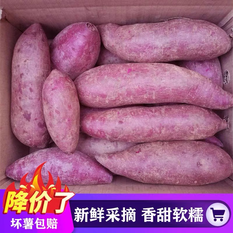 【粉丝特惠】新鲜紫罗兰紫薯番薯1/5/9斤蜜薯红薯正宗生鲜沙地紫薯