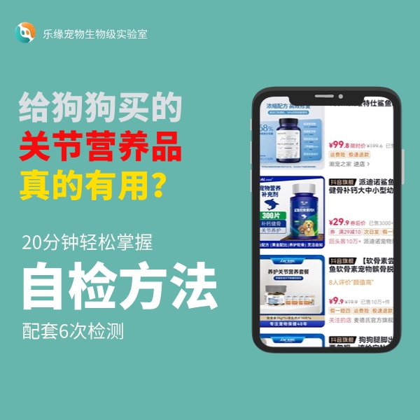 如何在家给狗狗自检关节风险
