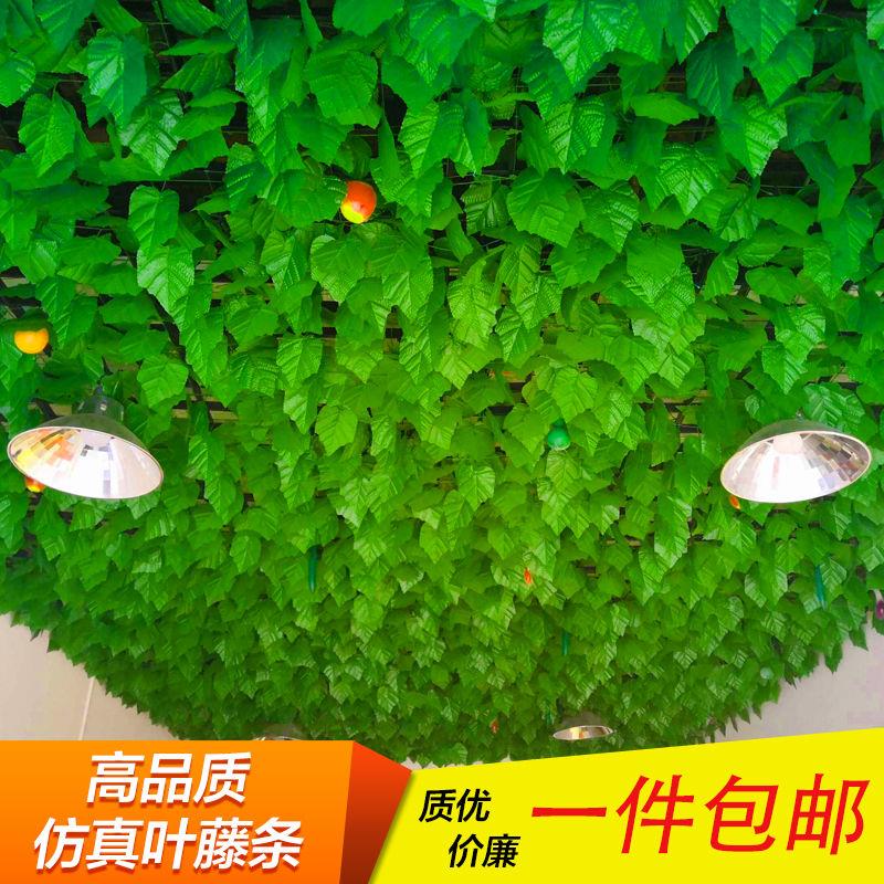 仿真葡萄叶藤条树叶吊顶花藤装饰绿萝绿植藤蔓水管道遮挡塑料假花