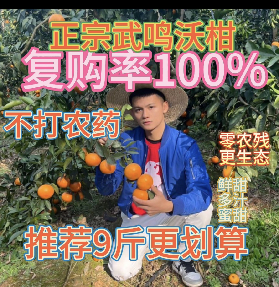 【川泽家】【正宗武鸣沃柑】新鲜蜜甜多汁入口化渣5-9斤