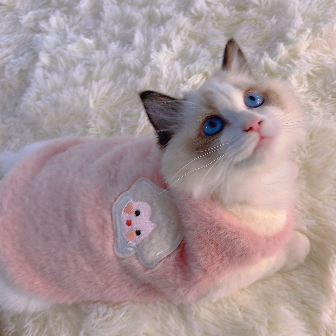 猫咪秋冬季可爱衣服狗狗冬保暖加厚背心防掉毛布偶宠物衣服小型犬