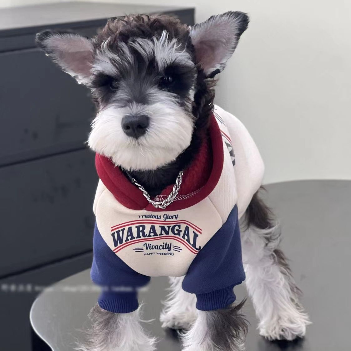 狗狗衣服秋冬款宠物卫衣拼色加绒中小型犬泰迪比熊博美雪纳瑞衣服
