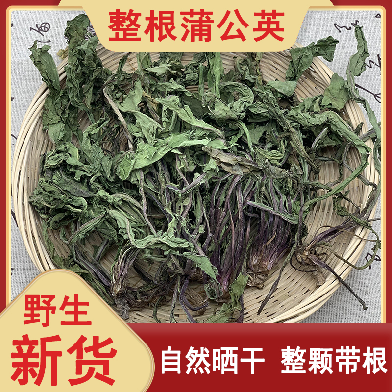 拉郎山蒲公英250克-1000克野生蒲公英整颗精选新货蒲公英茶益母草