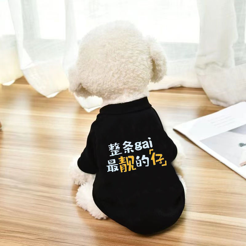 秋冬新款宠物加绒潮牌泰迪雪纳瑞衣服狗狗学院风卫衣猫咪猫猫衣服