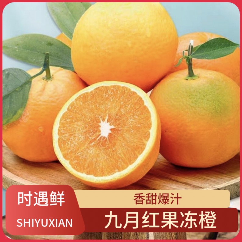 湖北九月红果冻橙4.5斤手剥甜橙子脐橙新鲜应季水果香甜原产地