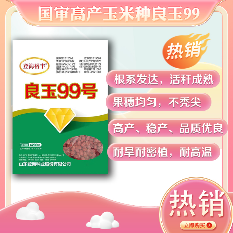 良玉99国审高产耐密植优质玉米种子 省心省力 果穗均匀 不秃尖