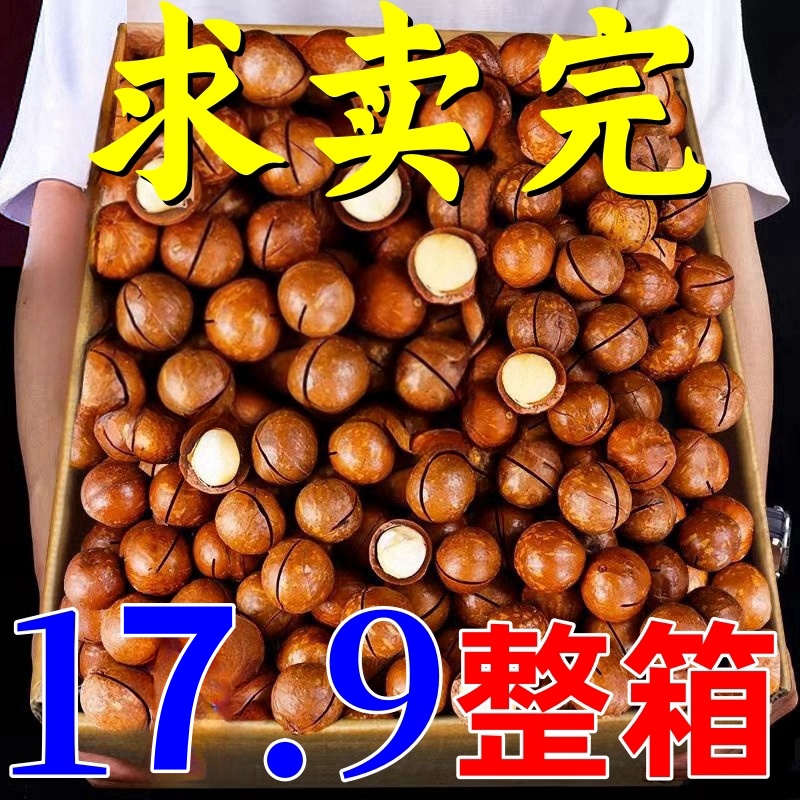 【送开口器】夏威夷果罐装香脆饱满奶油味奶香坚500g速抢新货大颗粒