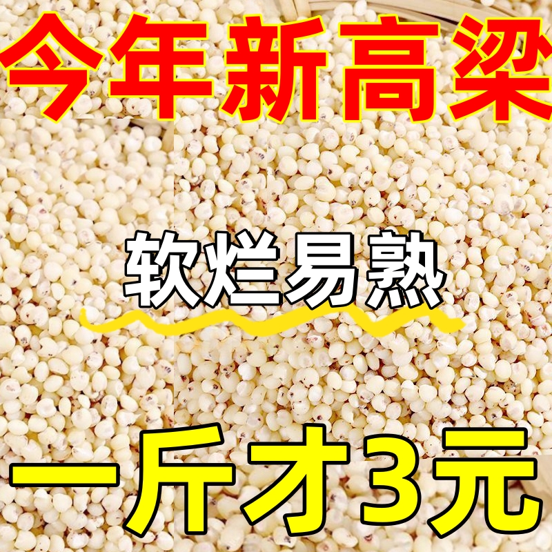 5斤半价】更实惠 黏高粱米粗粮五谷杂粮脱壳高粱米酿酒蒸饭煮粥
