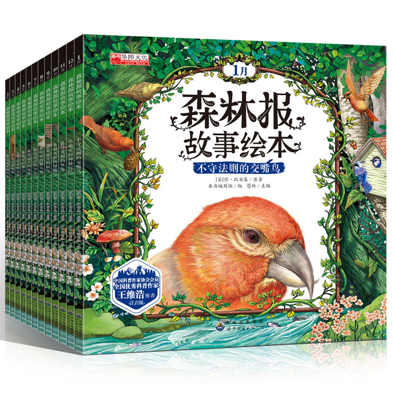 手绘注音版森林报故事绘本  0~6岁亲子共读，7~9岁自主阅读