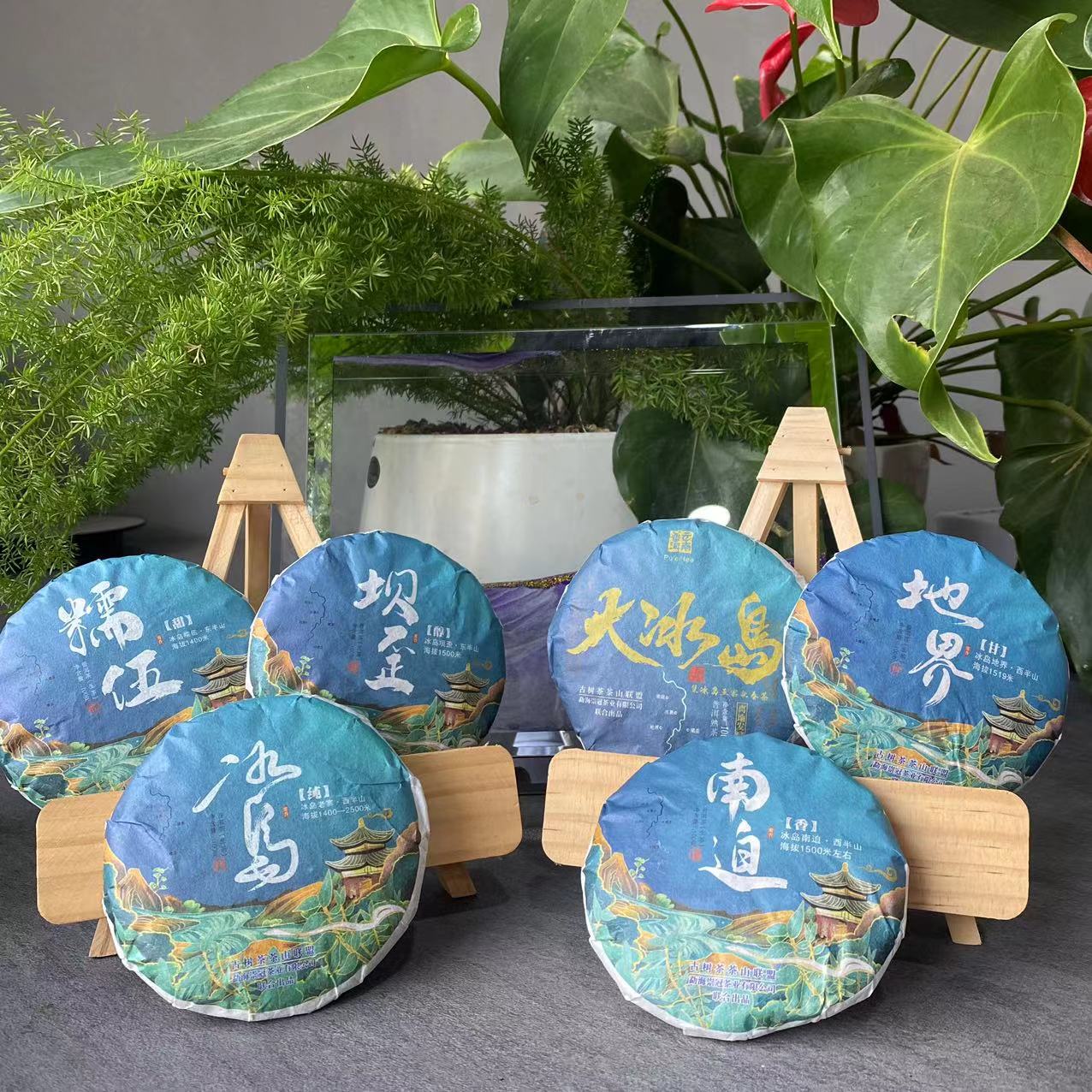 茶园世家冰岛五寨古树普洱茶100克/饼 普洱生饼