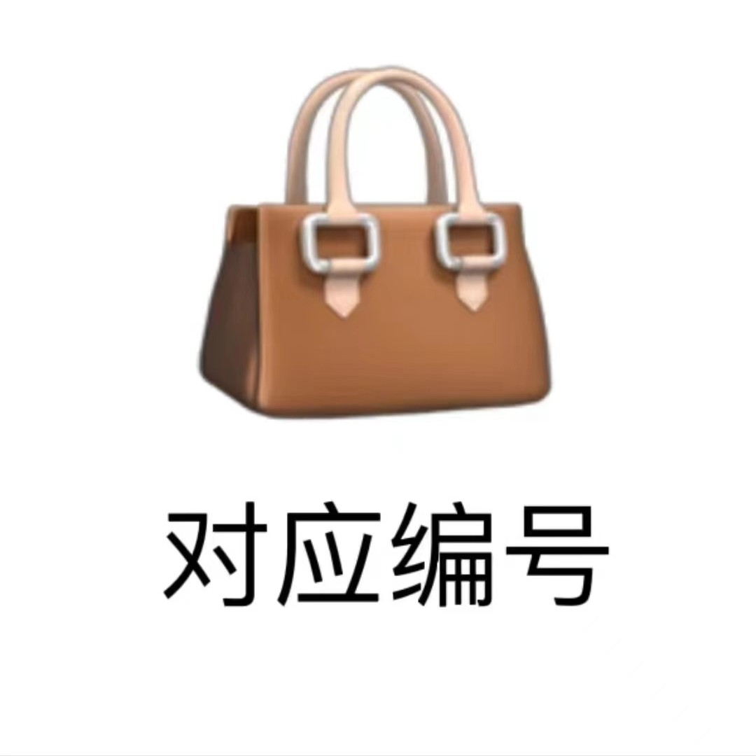 C[A系列现货]设计师新款轻奢时尚百搭气质潮流真皮女士包包经典