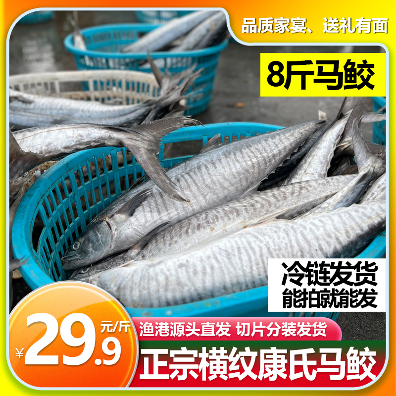 8斤广东正宗横纹马鲛鱼 （原条代切）   广东冷链发货