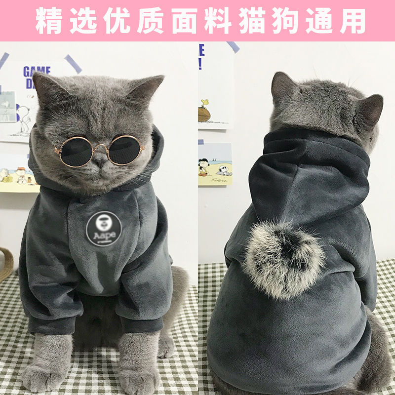 猫咪衣服宠物小狗狗秋冬装泰迪比熊博美小型幼犬法斗潮流保暖服饰
