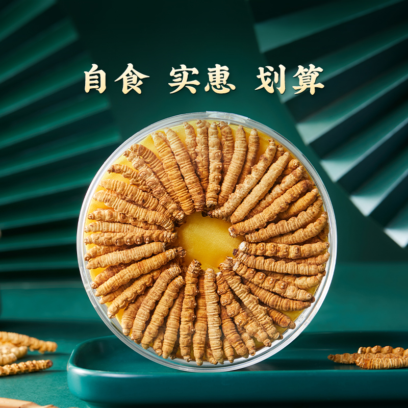 【那曲卓玛推荐】2023头茬25克大断草冬虫夏草春节送礼自家食用
