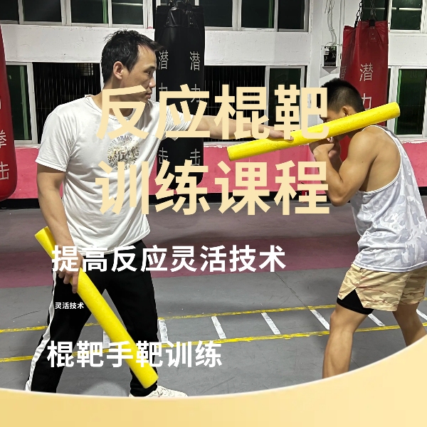 拳击搏击格斗棍靶训练反应闪躲摇闪教学课程提升健身武术